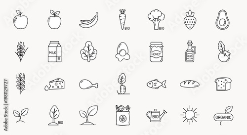 Healthy Organic Food Icons Set Featuring Fruits Vegetables Grains Dairy Meat Fish And More For Healthy Eating