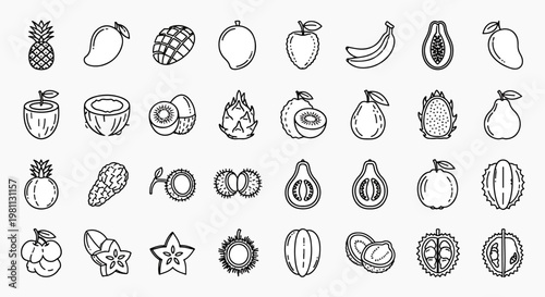 Collection of Tropical Exotic Fruits Icons Set Vector Illustration Pineapple Mango Coconut Banana Papaya Guava Dragon Fruit Durian
