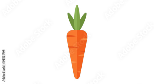 A stylized illustration of a single bright orange carrot with green leafy top isolated on transparent background, Vector