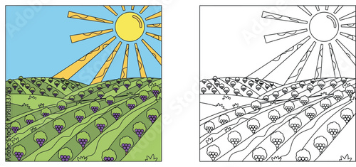 Vineyard landscape coloring page with bright sun and rolling hills. Features both vibrant full-color illustration and black-and-white outline version for children's activity books.