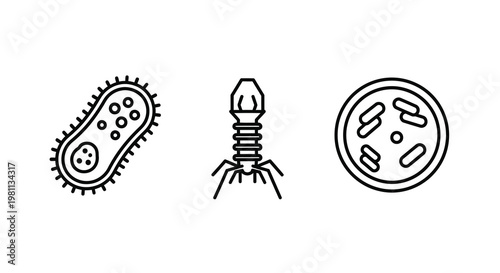 Microscopic organisms including bacteria and a virus line art silhouette