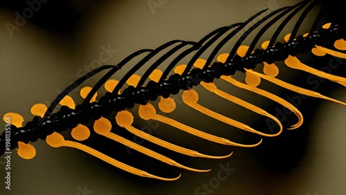 fern frond detail, black and orange, close-up, nature
