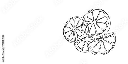 Continuous line drawing of fresh citrus slices including whole rounds and wedges on white background