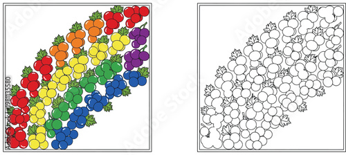 Rainbow Grapes Coloring Page - Vibrant Fruit Pattern for Kids and Creative Activities