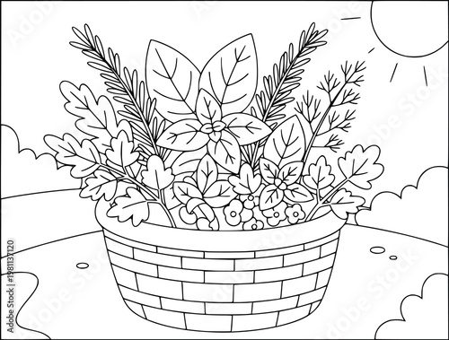 Coloring book page depicts various herbs growing in a woven garden basket