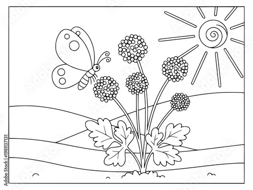 Butterfly is shown landing on round flower heads in this coloring book page