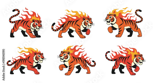 Fiery tiger collection dynamic poses of a roaring predator
