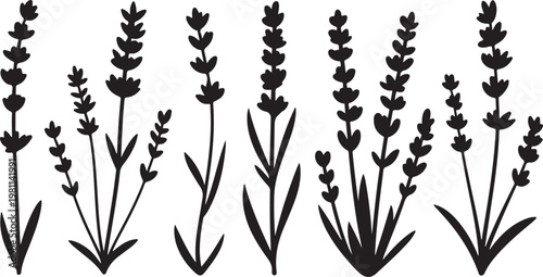 Japanese Sumi-e style vector collection of wild meadow flowers. Traditional Zen ink wash illustration with expressive dry brush strokes.Botanical Herb Plant Collection