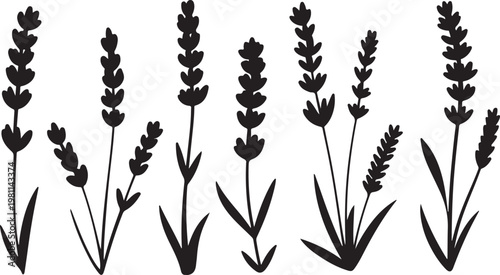 Japanese Sumi-e style vector collection of wild meadow flowers. Traditional Zen ink wash illustration with expressive dry brush strokes.Botanical Herb Plant Collection
