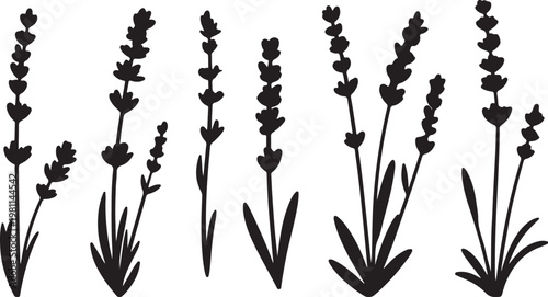 Japanese Sumi-e style vector collection of wild meadow flowers. Traditional Zen ink wash illustration with expressive dry brush strokes.Botanical Herb Plant Collection
