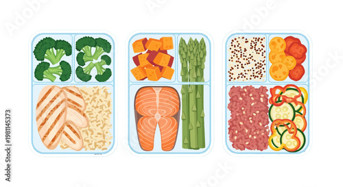 Healthy Meal Prep Containers with Balanced Nutrition Vector Illustration