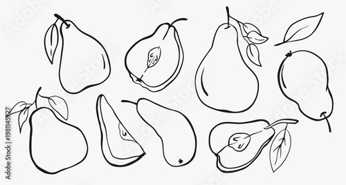 Pear vector fruit organic food vegetarian snack