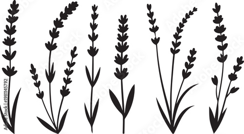 Japanese Sumi-e style vector collection of wild meadow flowers. Traditional Zen ink wash illustration with expressive dry brush strokes.Botanical Herb Plant Collection
