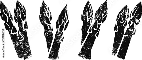 Asparagus vegetable silhouettes in vintage woodcut set, rustic farm fresh garden harvest illustration