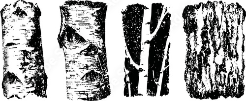 four vertical pieces of textured birch tree bark isolated on white background