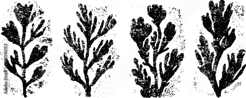Black seaweed silhouettes in different shapes isolated on white background