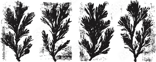 Black and white digital abstract floral leaf design with rough textured background