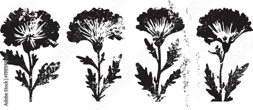 Vintage floral silhouettes set of four stylized botanical flowers with leaves in black and white