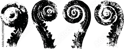 four black and white fern fiddleheads in various curling shapes isolated on white background