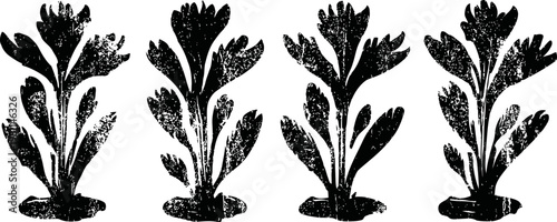 four identical black and white silhouettes of parsley plants with detailed leaves and roots