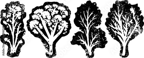 Four black silhouettes of lettuce leaves in vintage isolated on white background