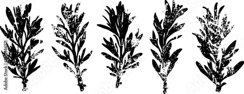 silhouettes of five leafy branches black botanical herb shapes on white background nature vector illustrations