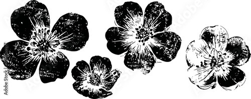 black and white vintage floral illustration of wild blooming flowers with textured petals and stamens
