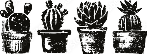 hand drawn cactus and succulent plants in pots, vintage botanical black ink illustration