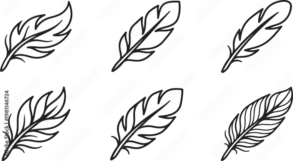 Fototapeta premium Collection of hand drawn feather illustrations for nature stationery