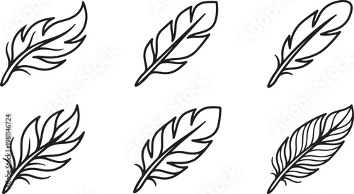 Collection of hand drawn feather illustrations for nature stationery