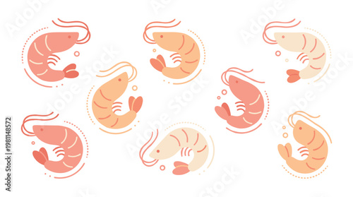 Shrimp seafood food illustration.