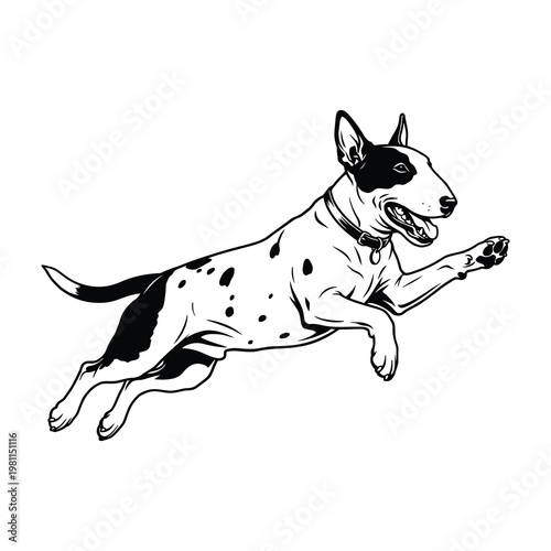 Bull Terrier dog jumping in air black and white ink sketch style isolated on white background