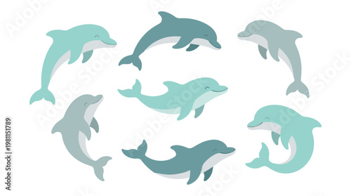 Dolphins Swimming Together Circle.