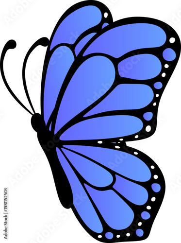 Butterfly Gradient Illustration