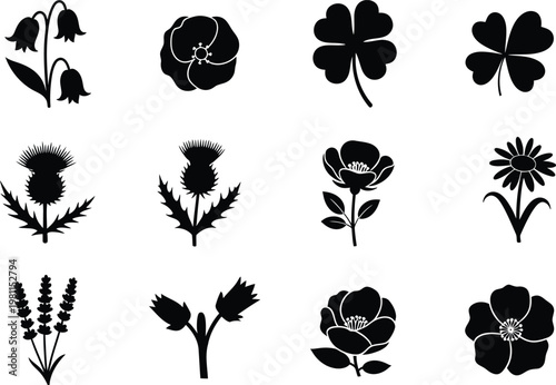 Obraz na plátně Various black silhouettes of flowers and plants including thistles clovers and l