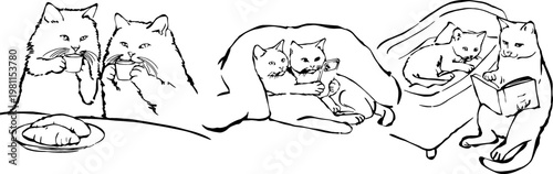 Hand drawn vector set of cute cats in various daily life activities