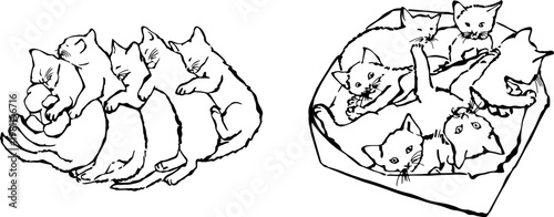 Cat family line art. Six domestic felines, mothers and kittens, in an illustrative vector sketch, isolated on white background for design.