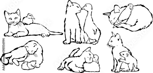 Felines with duck, parrot, gecko, and other animals, a vector interaction sketch.