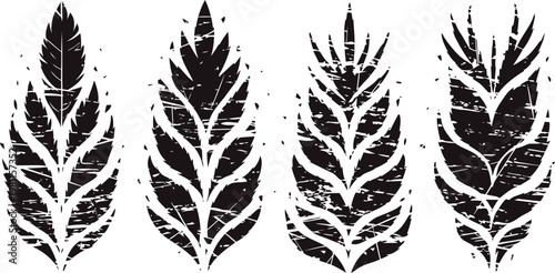 grunge feather silhouettes set abstract textured bird feather shapes in black and white vintage ornamental design elements