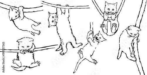Playful Kittens Climbing and Hanging on Ropes Vector Illustration