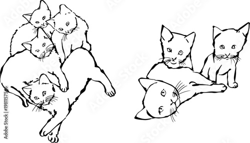 Cute Mother Cat with Many Playful Kittens Vector Line Art