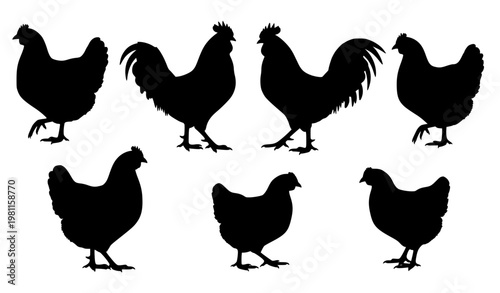 Black Silhouette Chicken Hen and Rooster Farm Bird Collection Isolated Vector Set