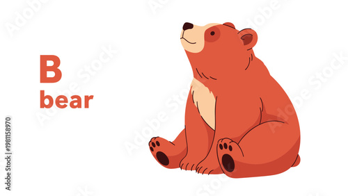Alphabet learning B for bear with cute sitting brown bear illustration on white background for children education.