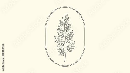 Single botanical branch with leaves enclosed in an elegant thin oval frame on a light cream background.