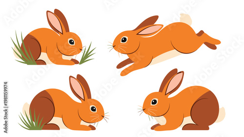 Set of four cute orange rabbit characters in various poses including sitting and jumping isolated on white background.