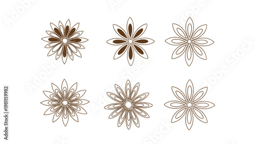 Set of six star anise spice line art illustrations in different designs isolated on a white background for culinary.
