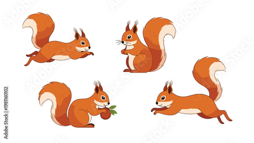 Collection of four red squirrels in various poses like running and eating nuts isolated on a white background for nature designs.