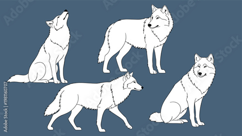 Illustration of four white wolves in various poses including howling and sitting on a dark blue background for wildlife themes.