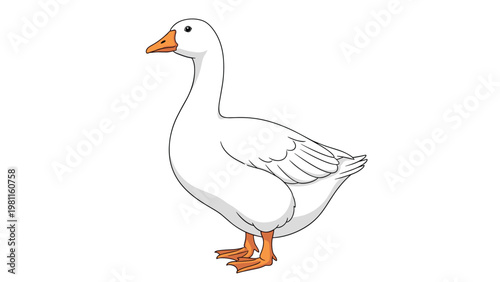 Simple illustration of a white goose with an orange beak and feet standing and looking sideways on a white background.