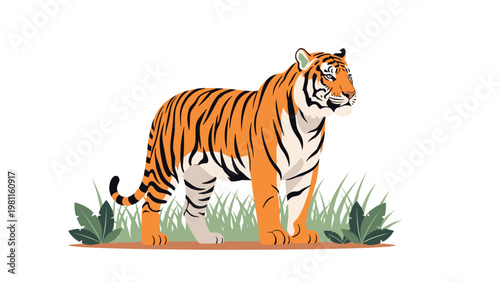 Majestic tiger stands alert in green grass against a white background, showcasing its distinct orange and black stripes and powerful form.